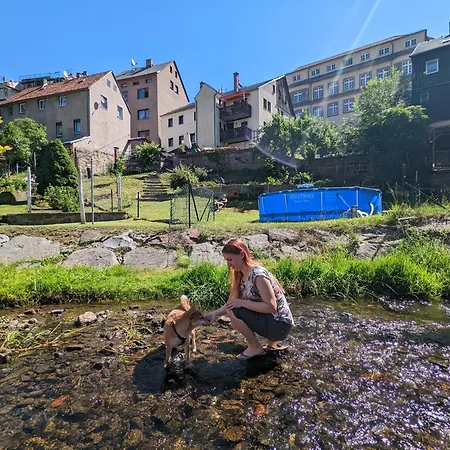 Urlaubsmagie - Haselmaus - Gemeinschaftsgarten, Sauna & Saisonaler Pool Apartment