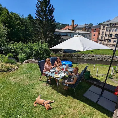 Hw3 - Urlaubsmagie - Helle, Grosse Mit Pool Apartment Sebnitz